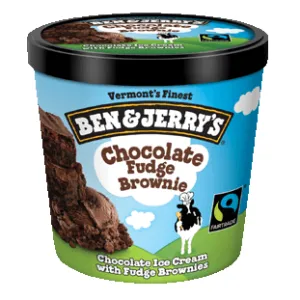 Ben & Jerry's Chocolate Fudge Brownie MiniCup (Case of 12)