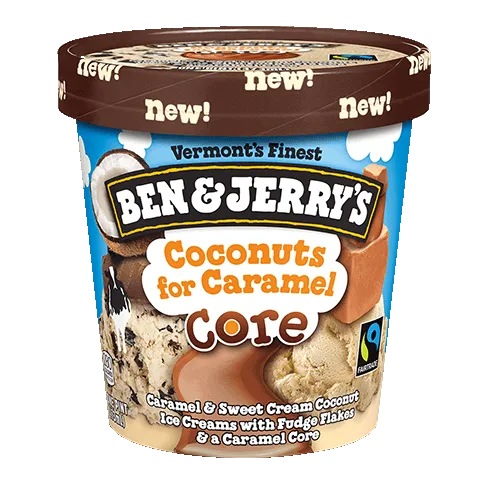 Ben & Jerry's Coconuts for Caramel Core (Pint)