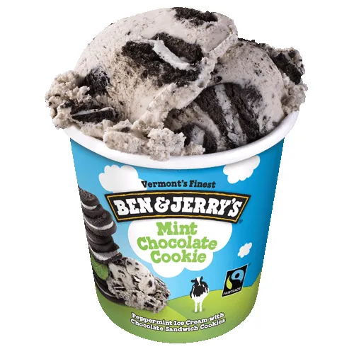 Ben & Jerry's Mint Chocolate Cookie (Pint)