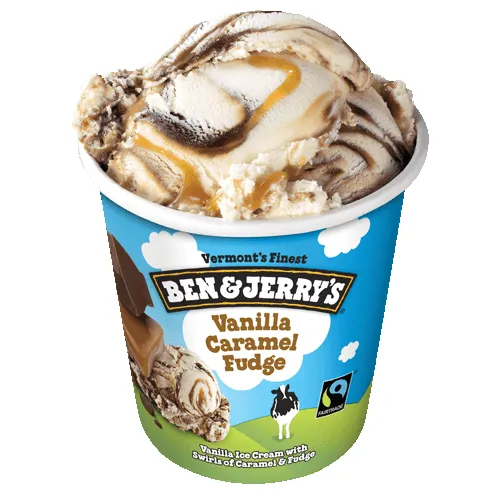 Ben & Jerry's Vanilla Caramel Fudge (Pint)