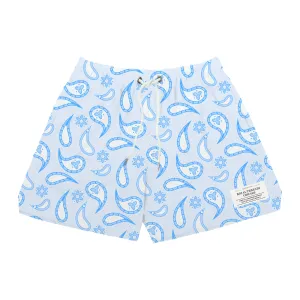 BLUE PAISLEY MESH