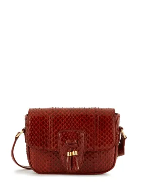 Celine Ruby Elaphe Snakeskin Small Teen Tassels Crossbody Bag