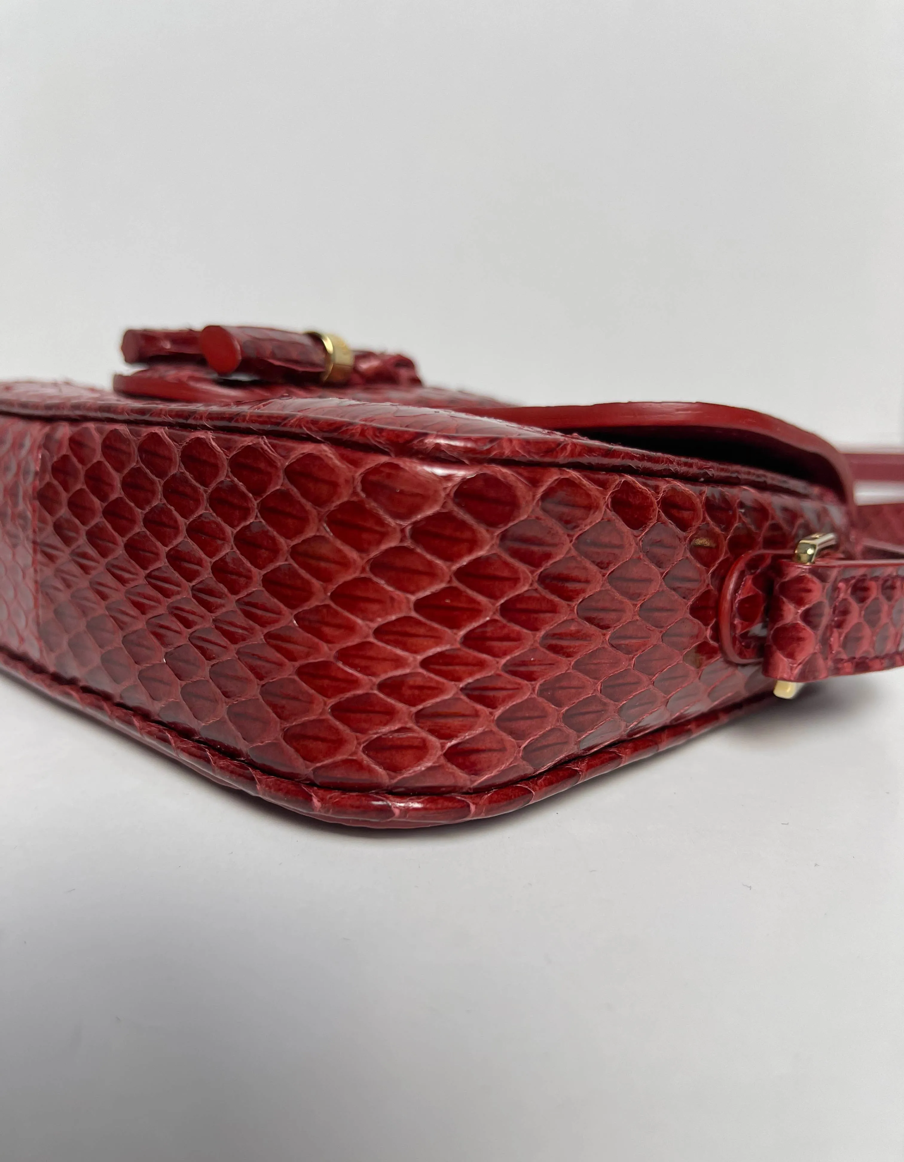 Celine Ruby Elaphe Snakeskin Small Teen Tassels Crossbody Bag