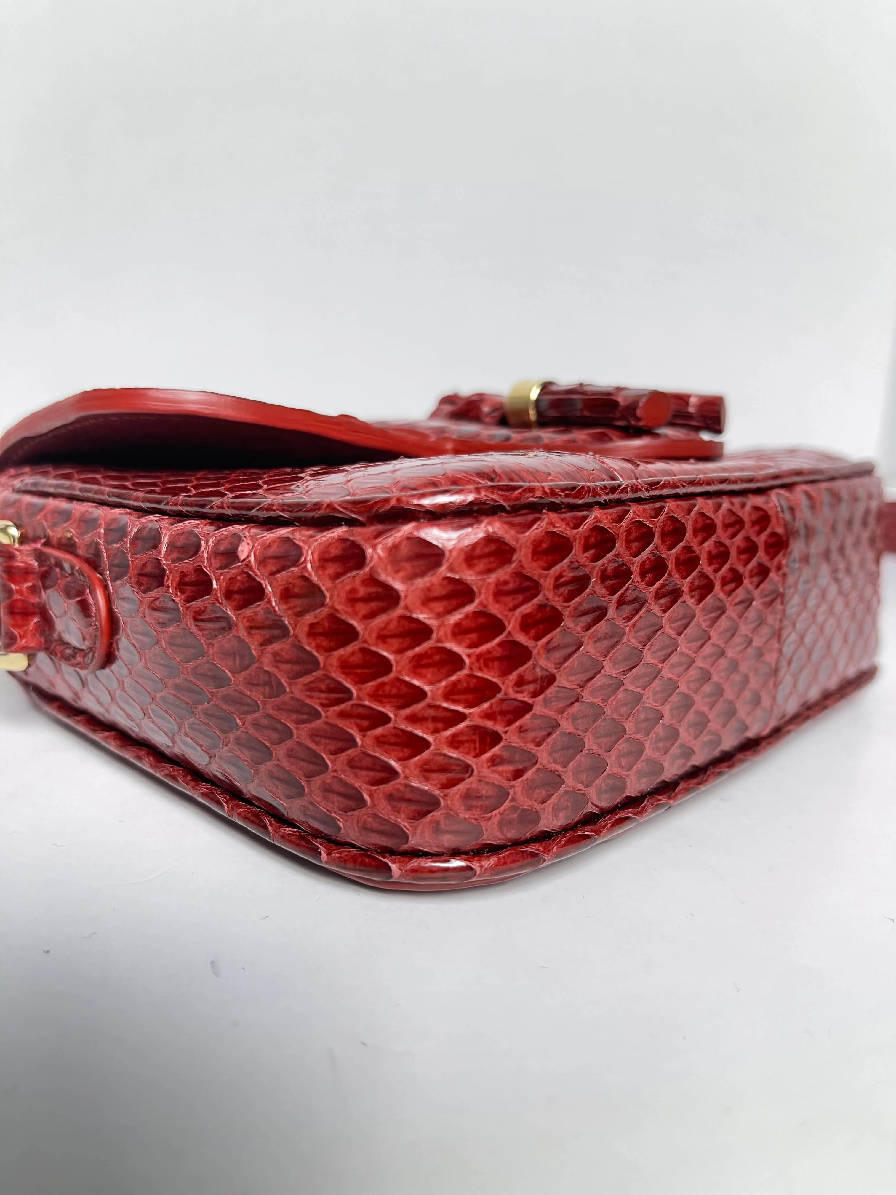 Celine Ruby Elaphe Snakeskin Small Teen Tassels Crossbody Bag