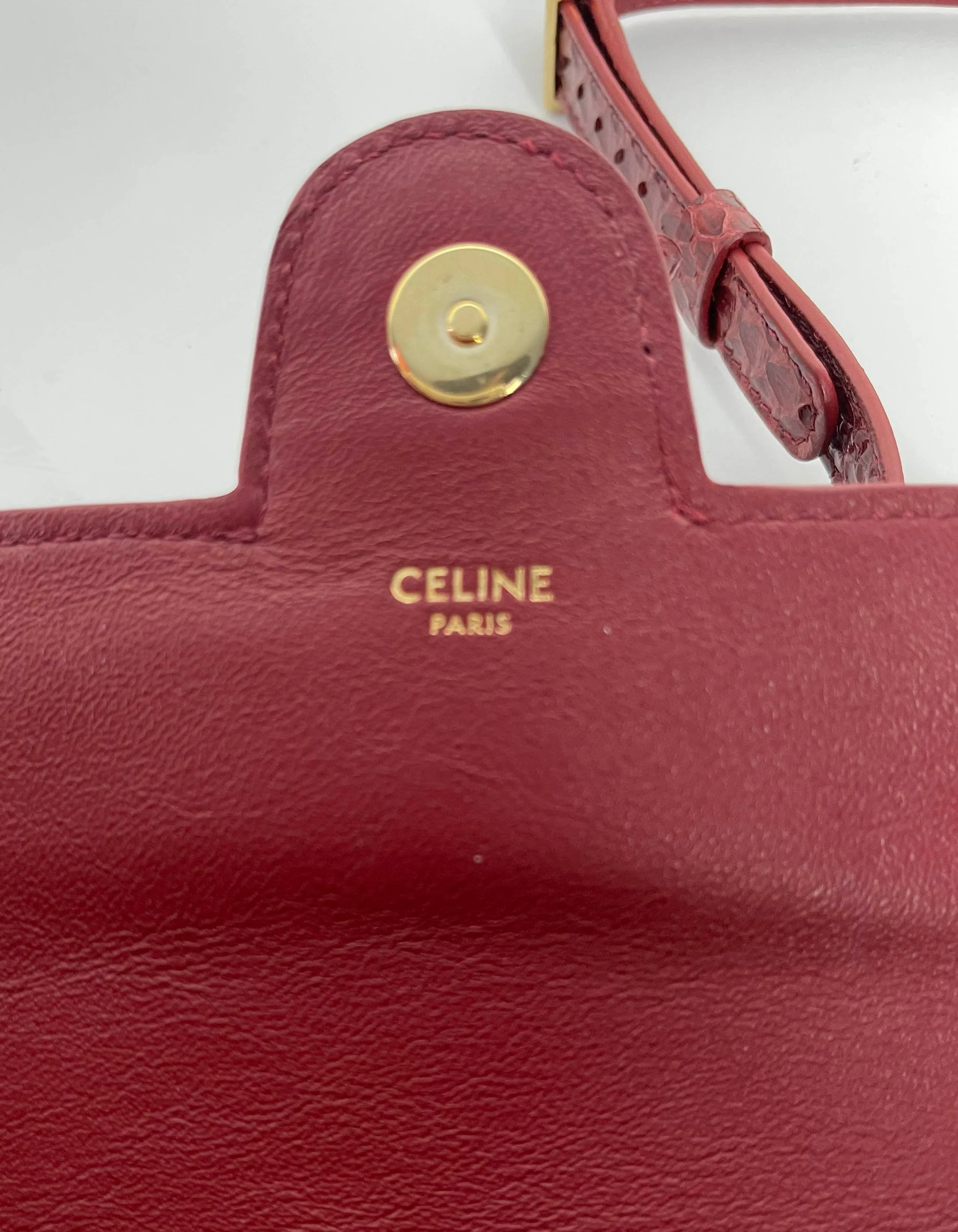 Celine Ruby Elaphe Snakeskin Small Teen Tassels Crossbody Bag