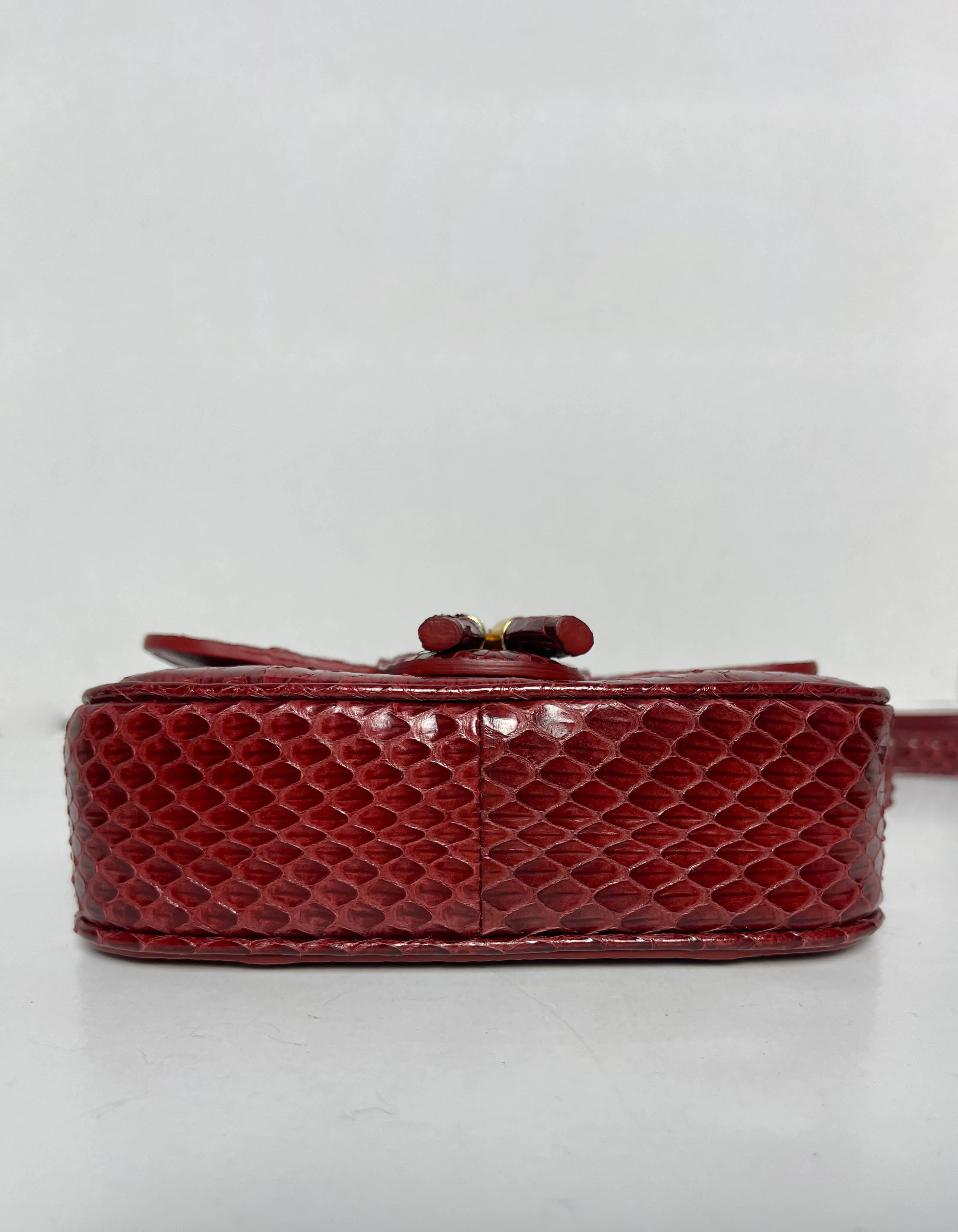 Celine Ruby Elaphe Snakeskin Small Teen Tassels Crossbody Bag