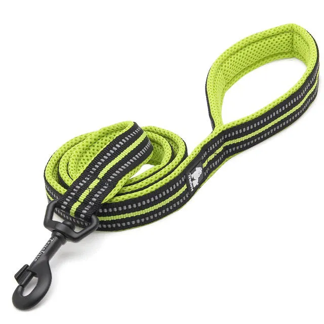 Dog Visibility Leash