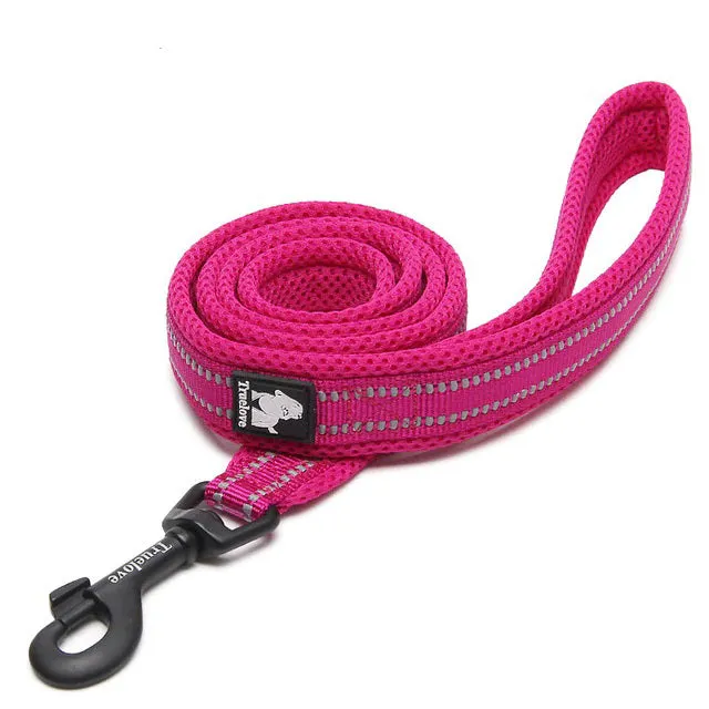 Dog Visibility Leash