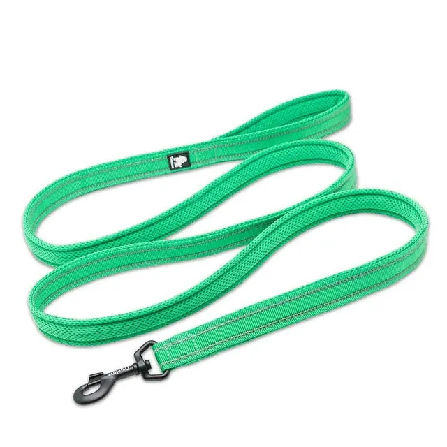 Dog Visibility Leash
