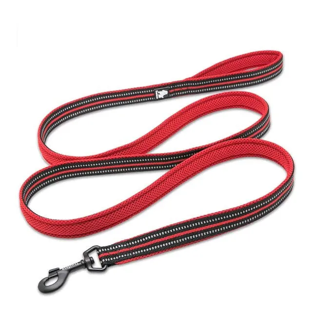 Dog Visibility Leash