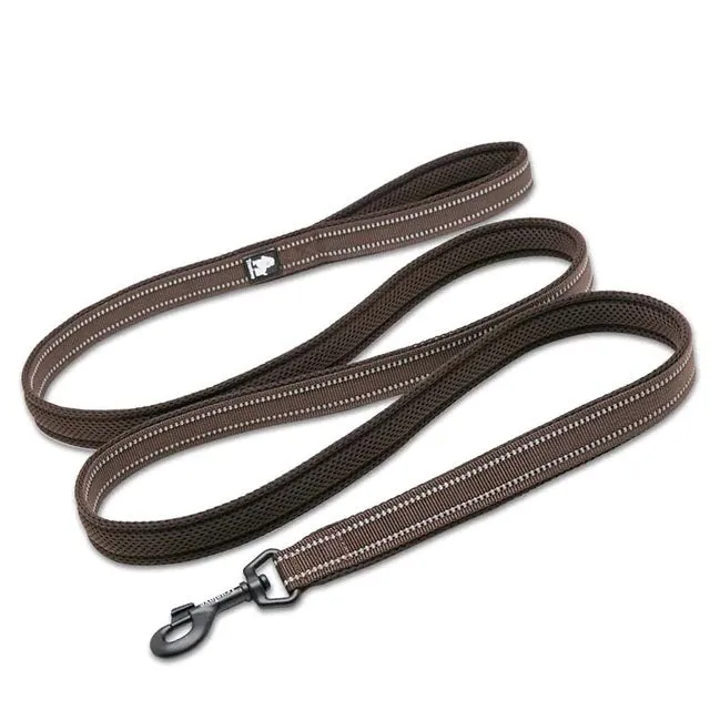 Dog Visibility Leash