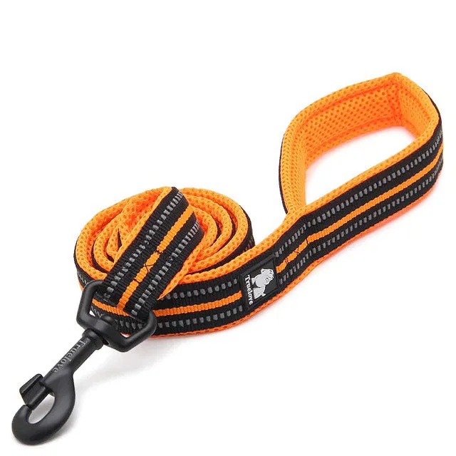 Dog Visibility Leash