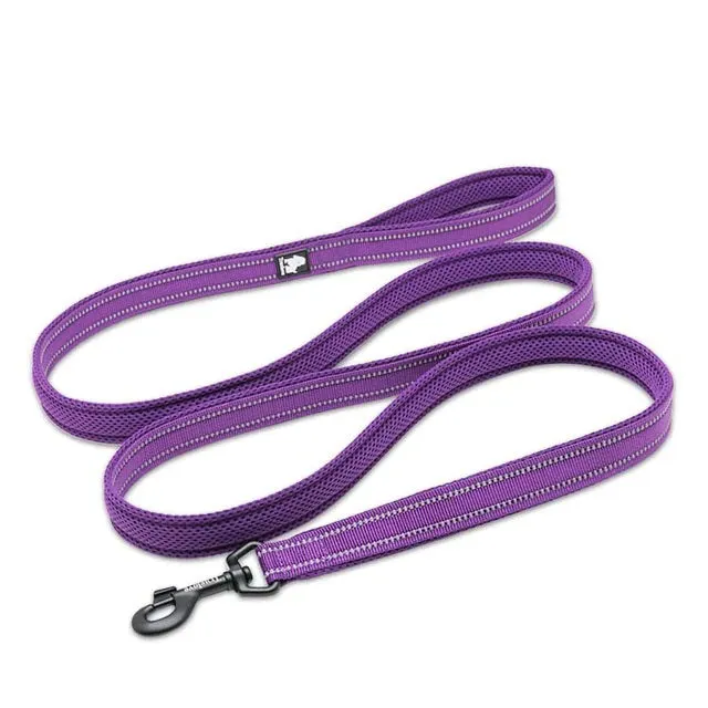Dog Visibility Leash