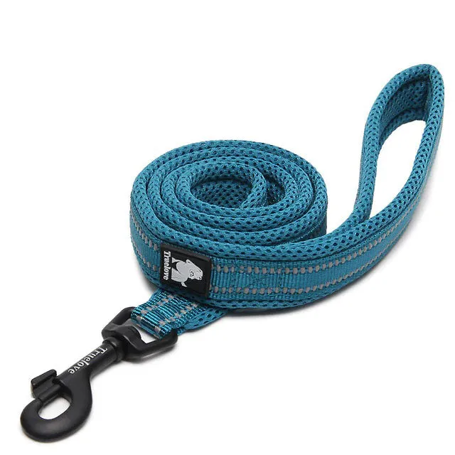 Dog Visibility Leash