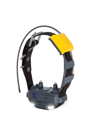 Dogtra Pathfinder 2 Mini Collar