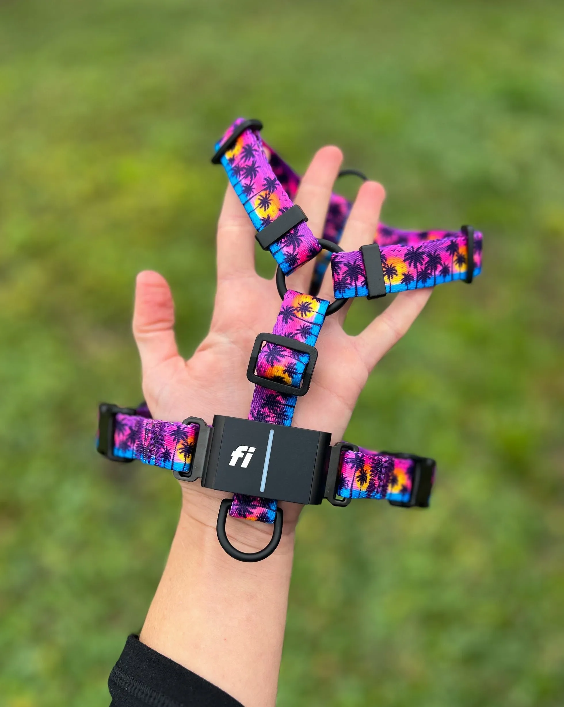 Fi Series 3 Compatible Harness