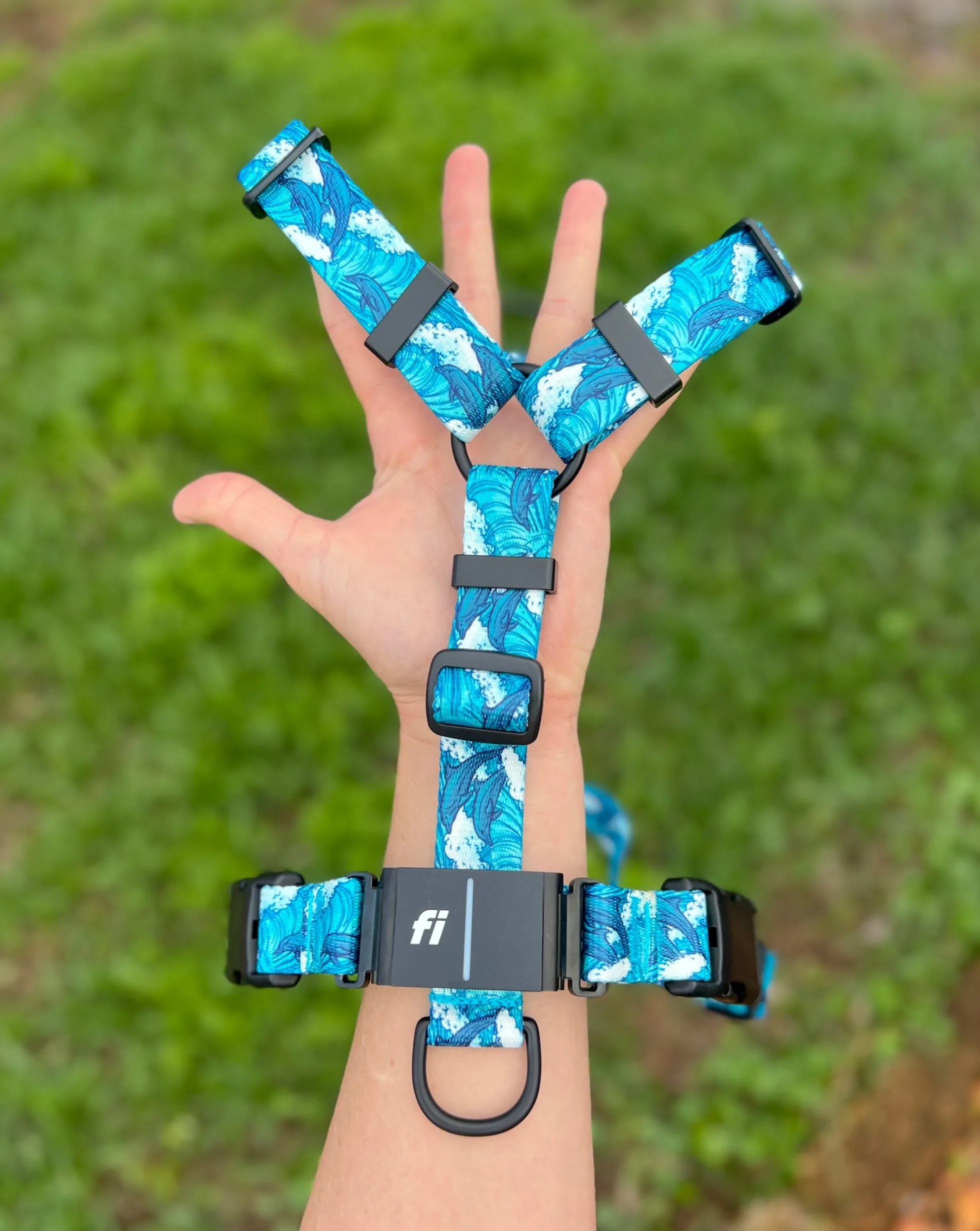 Fi Series 3 Compatible Harness