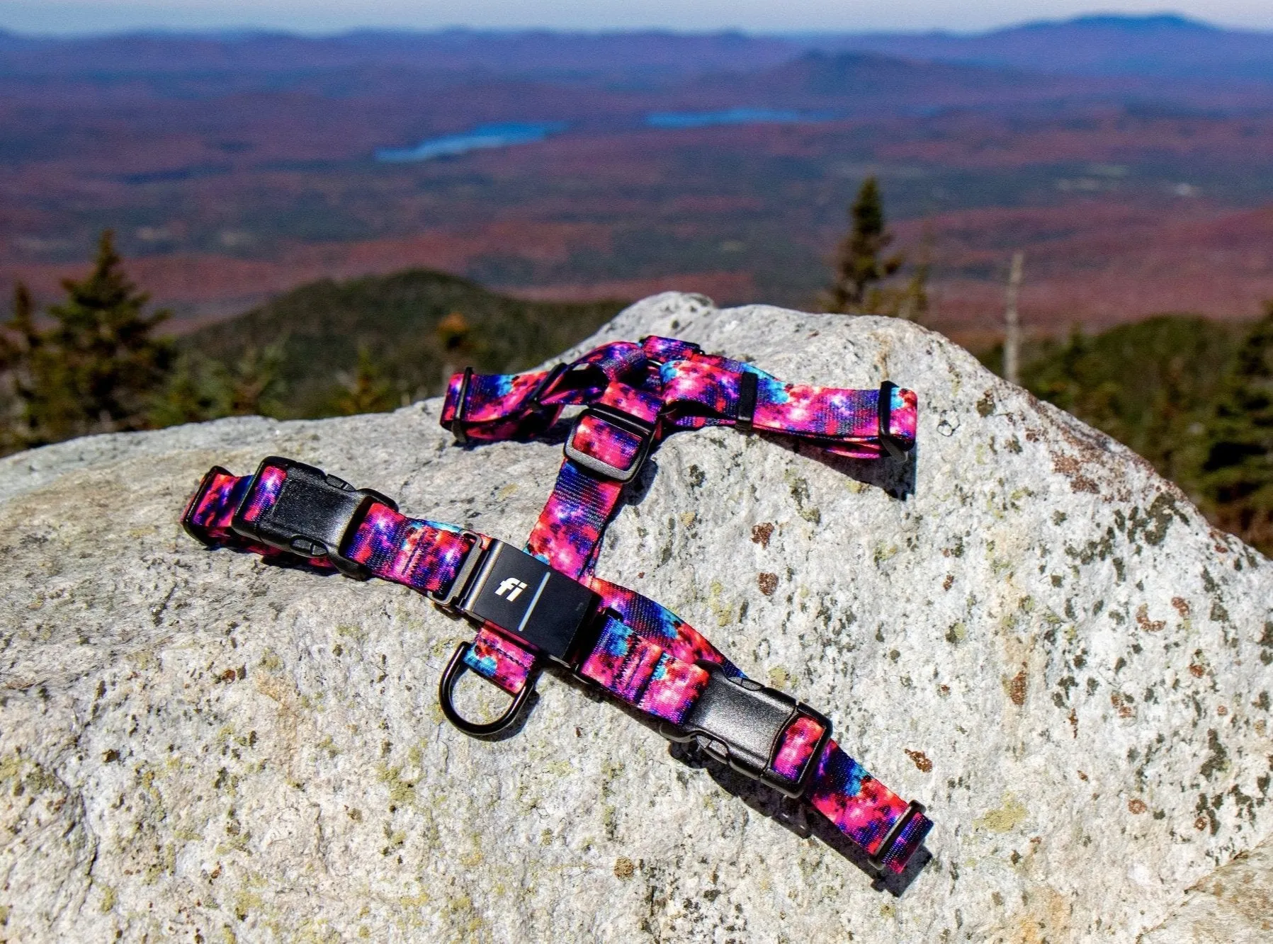 Fi Series 3 Compatible Harness