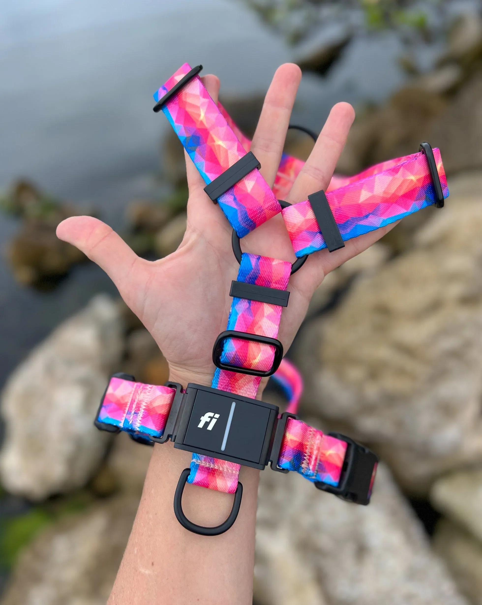 Fi Series 3 Compatible Harness
