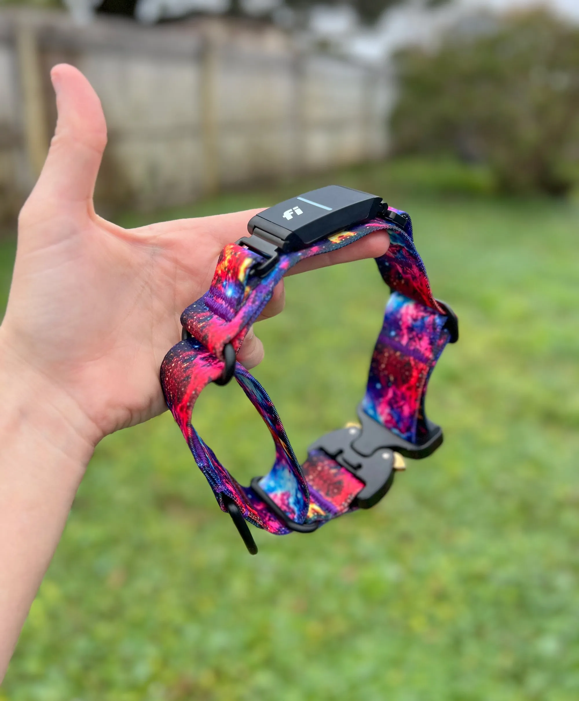 Fi Series 3 Compatible Martingale Collar With Buckle