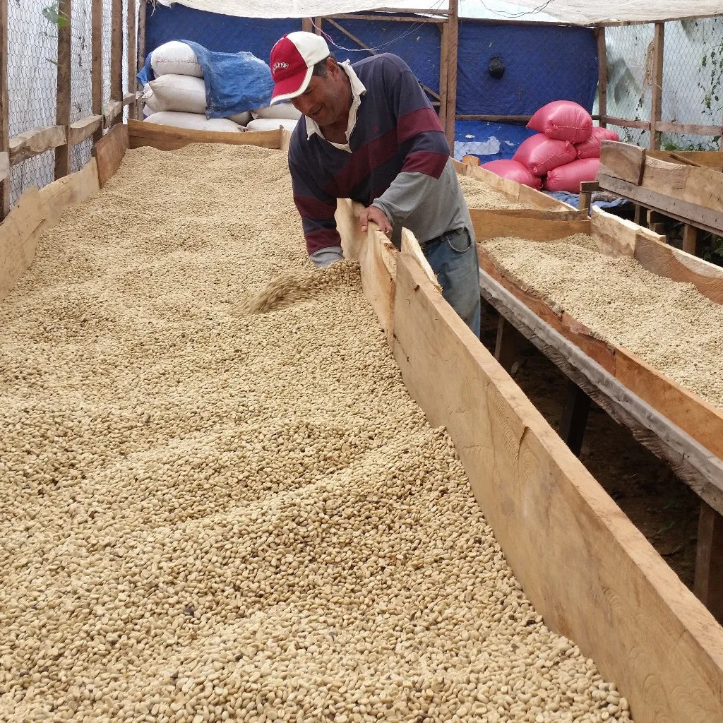 Green Unroasted Coffee