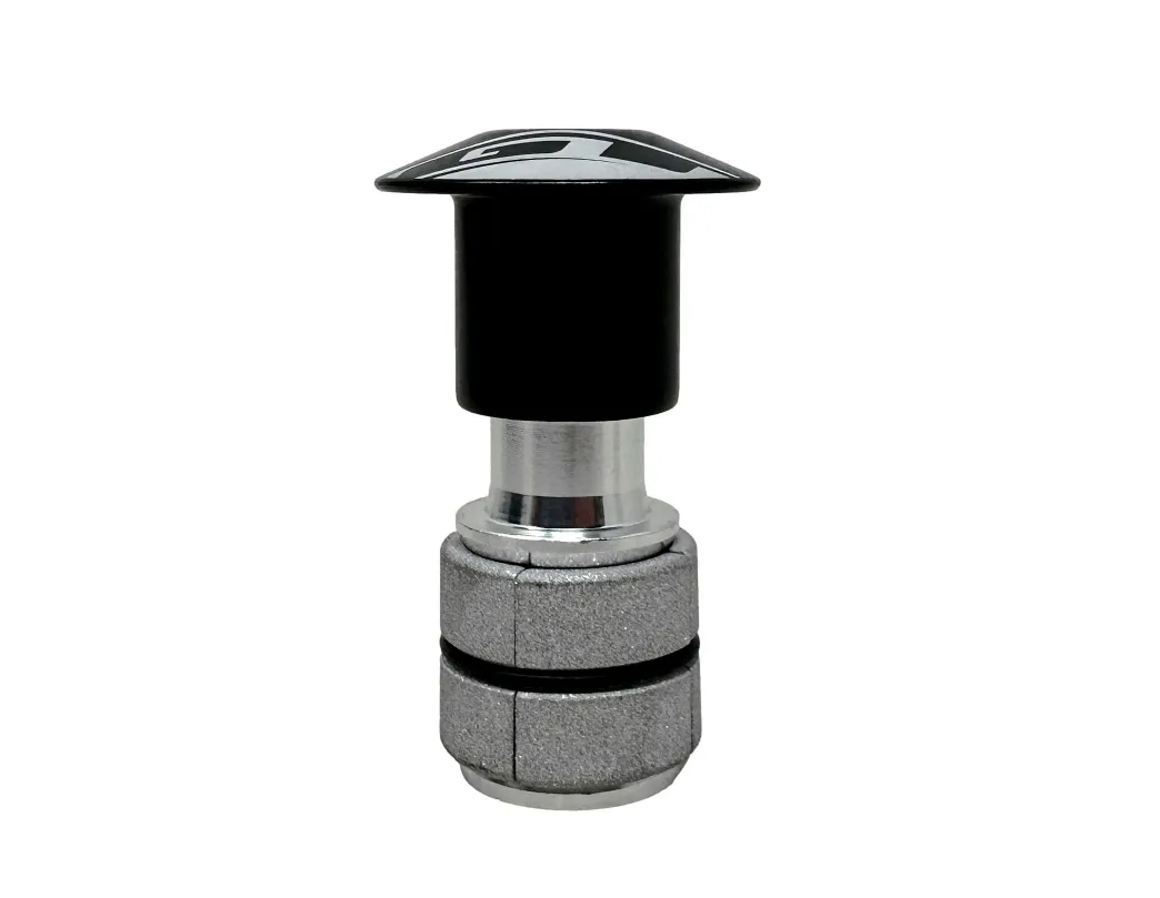 GT Carbon Expander Bung / Compression Plug For Carbon Fork - Black