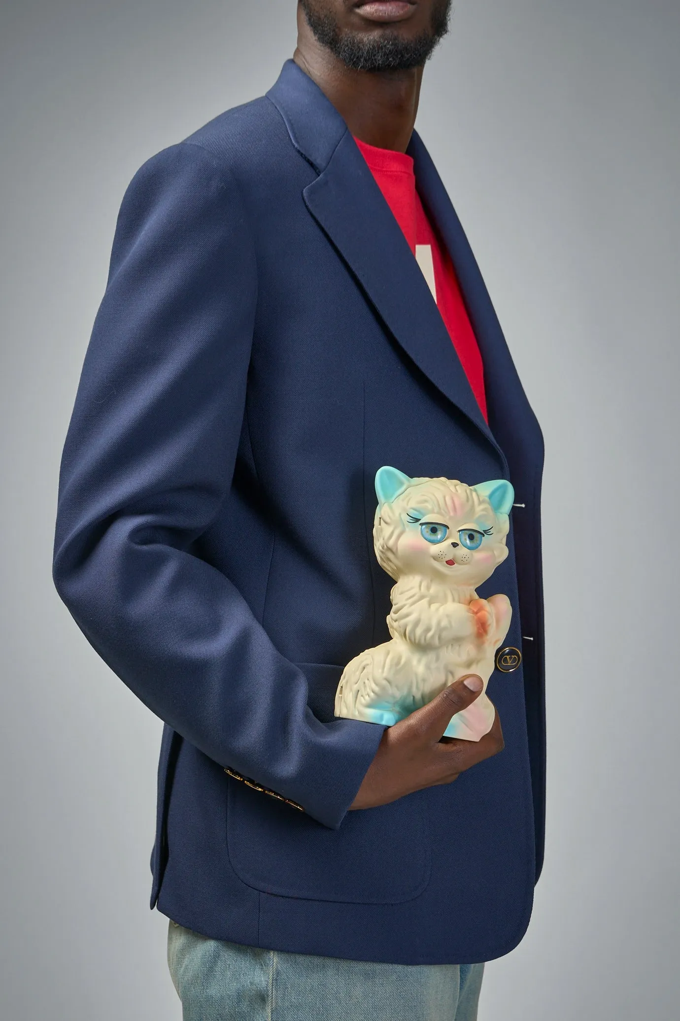 Le Chat de La Maison minaudière