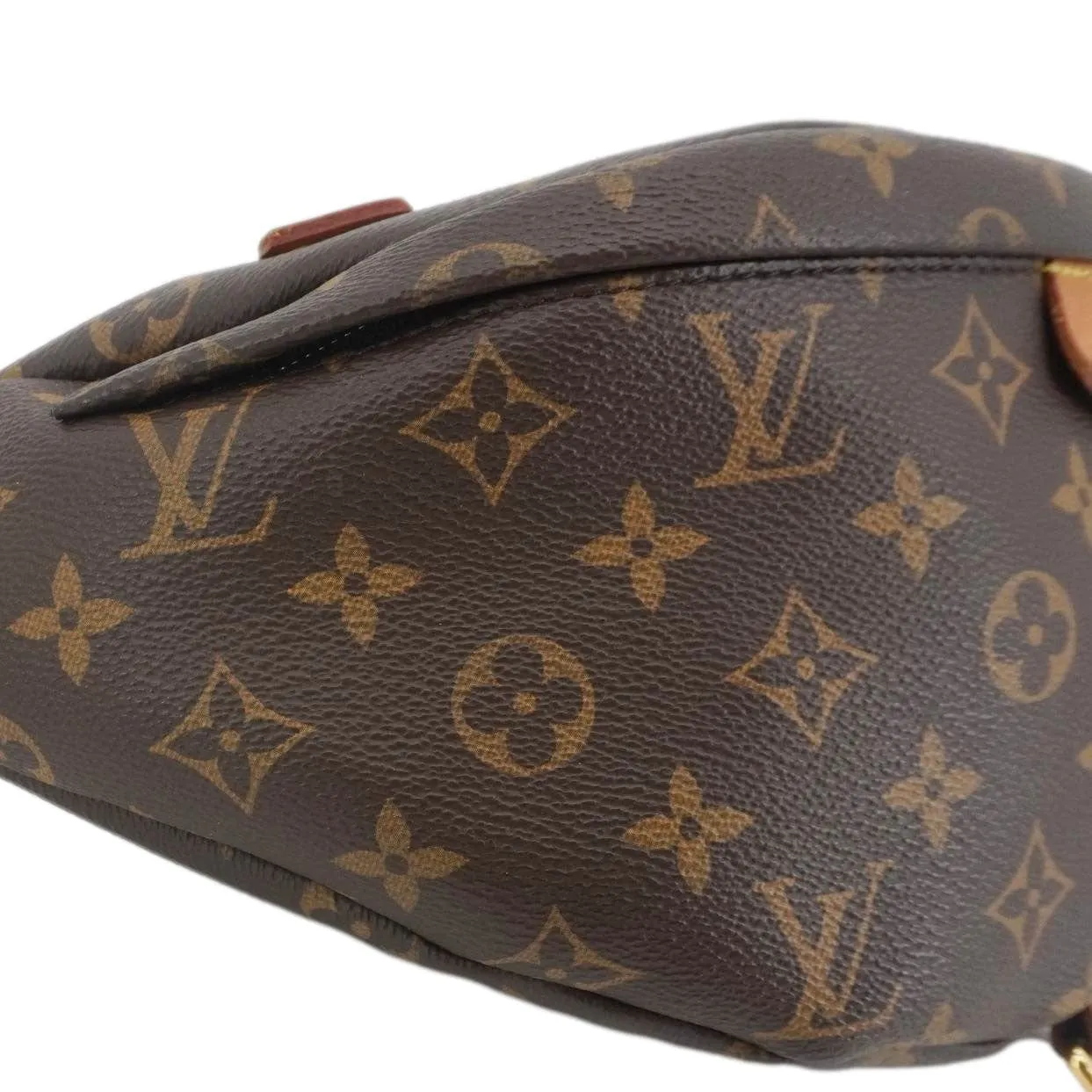 LOUIS VUITTON Monogram Canvas Bumbag Brown