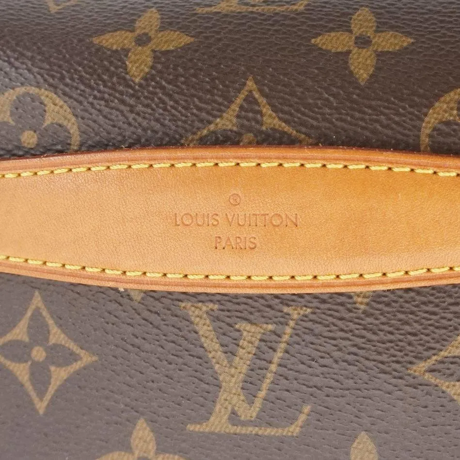 LOUIS VUITTON Monogram Canvas Bumbag Brown