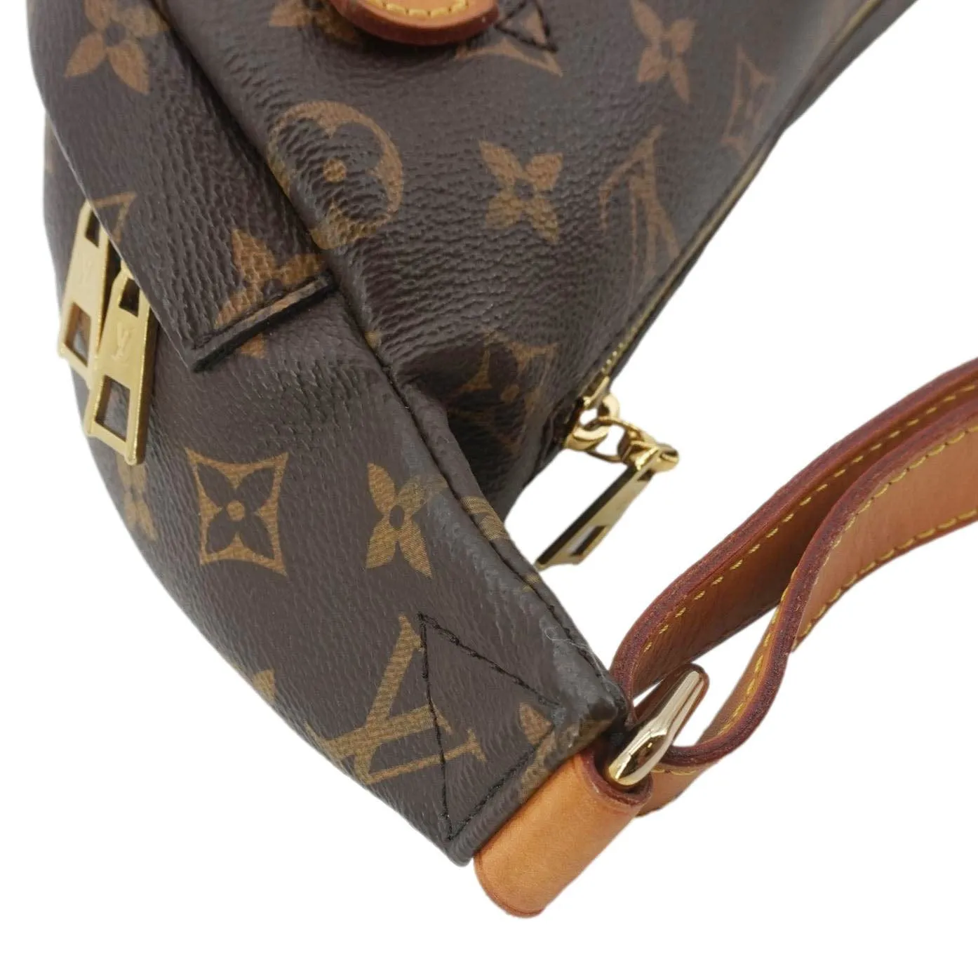 LOUIS VUITTON Monogram Canvas Bumbag Brown