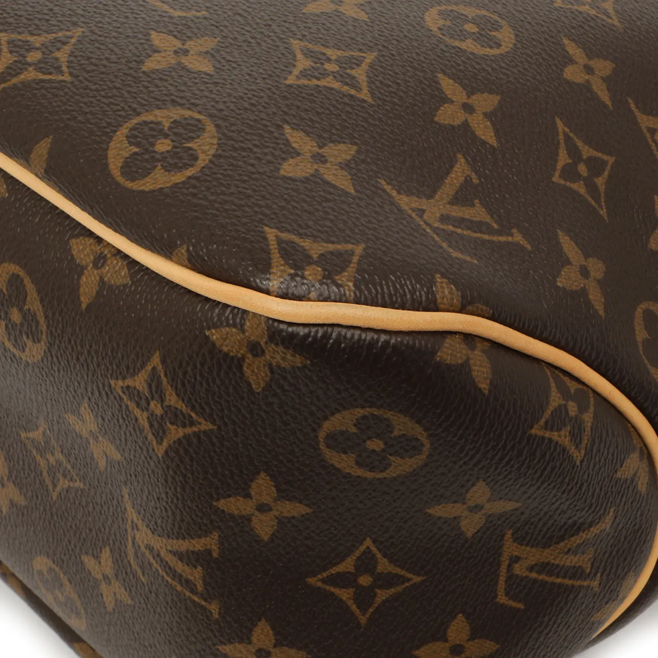 Louis Vuitton Monogram Delightful PM