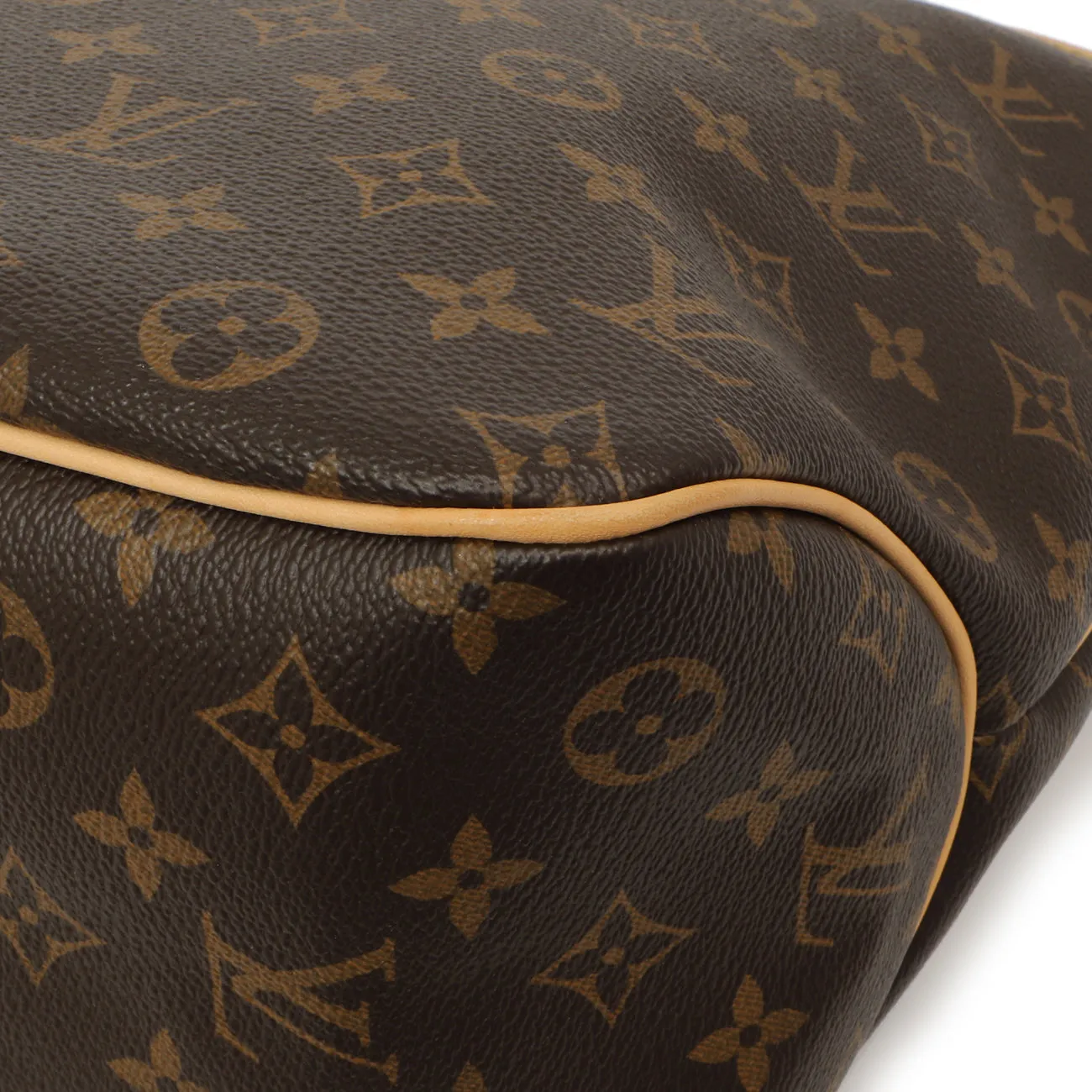 Louis Vuitton Monogram Delightful PM