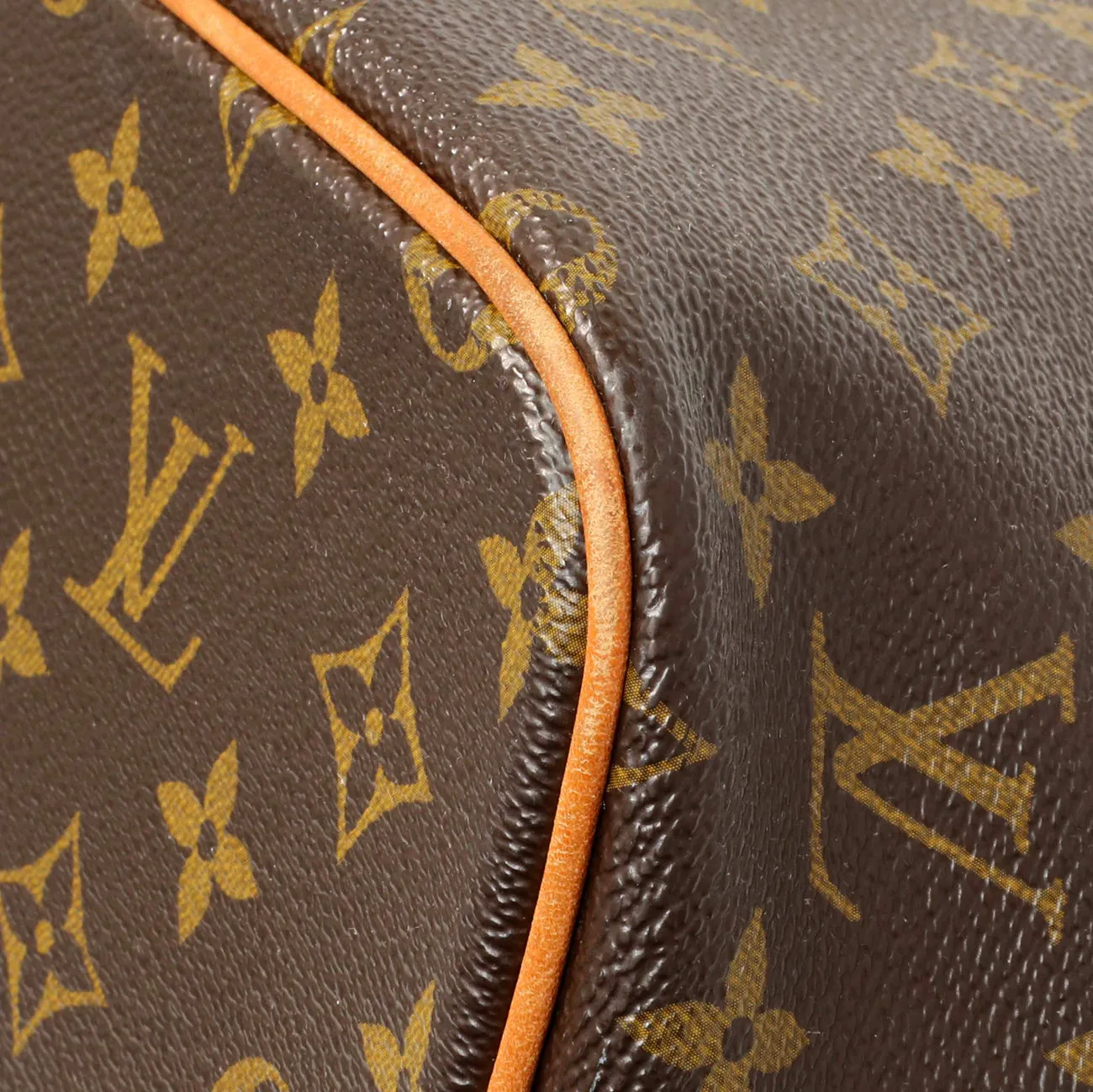 Louis Vuitton Monogram Palermo PM