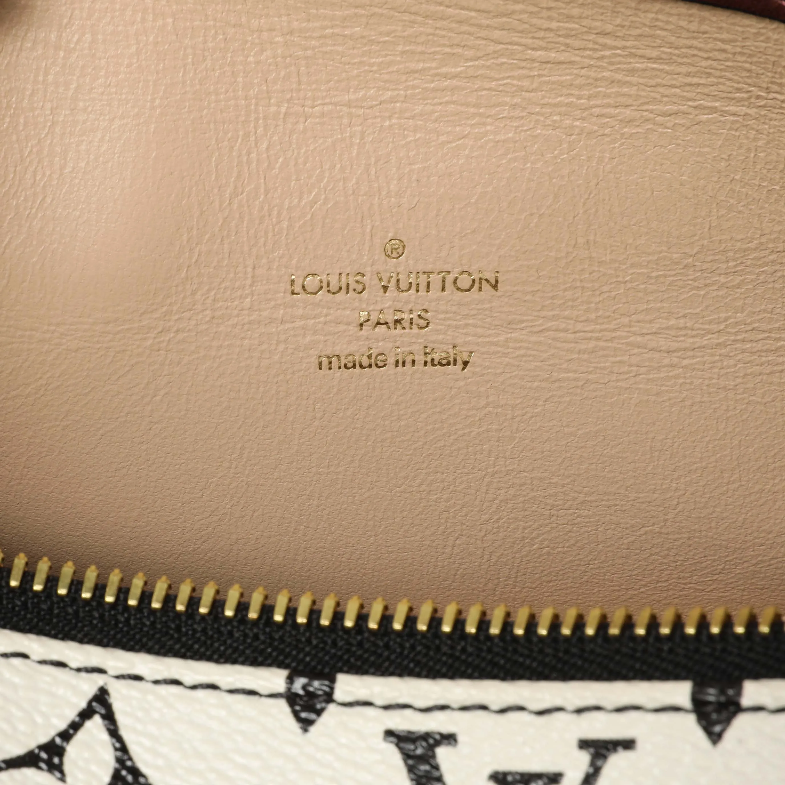 Louis Vuitton Monogram Speedy Amazon PM