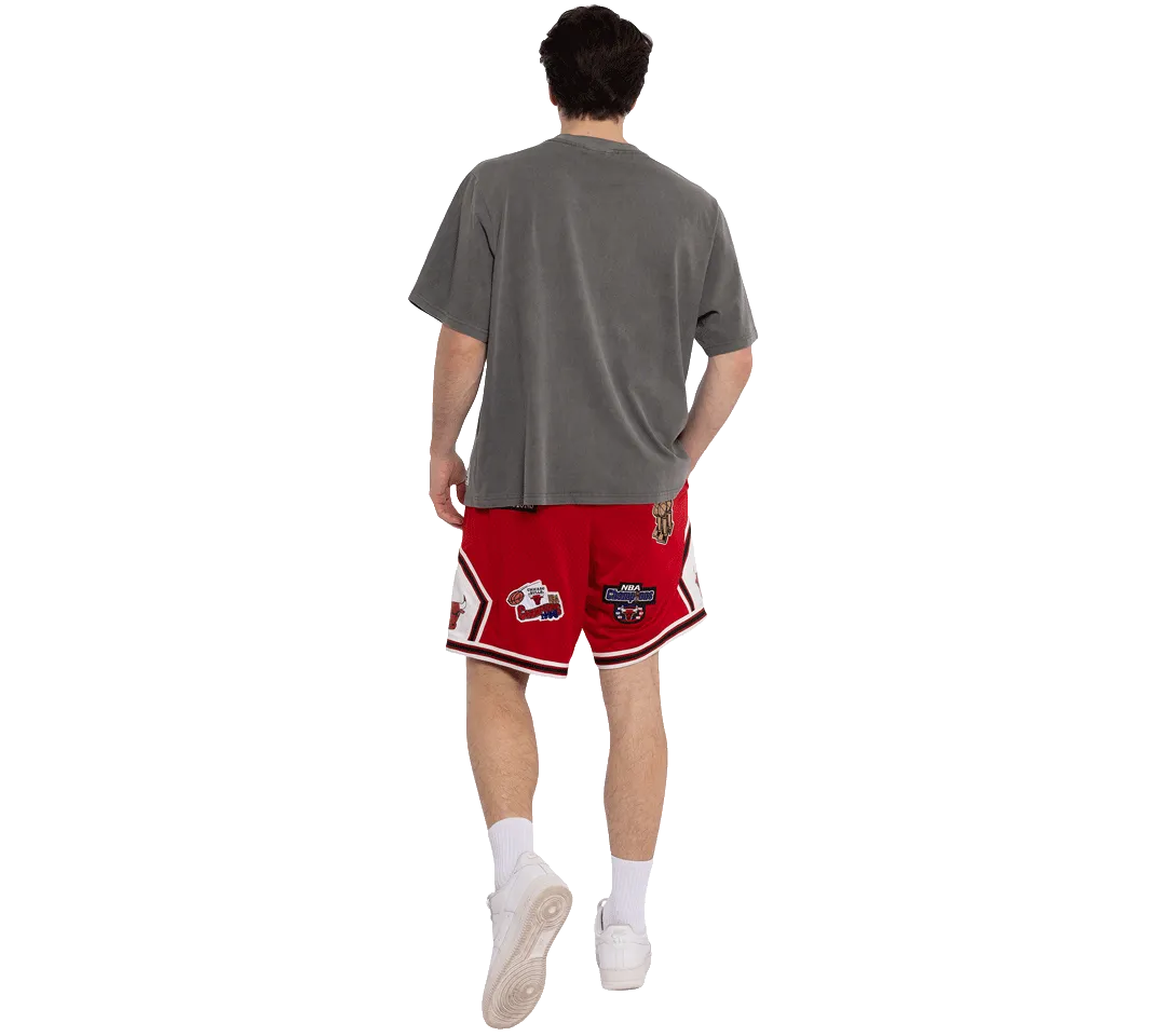 Mitchell & Ness Champions Short