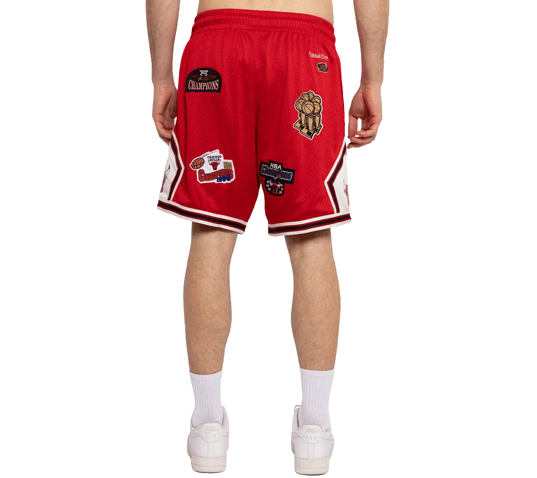 Mitchell & Ness Champions Short
