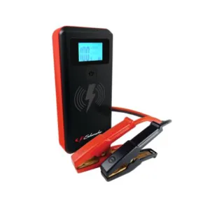 MULTI BATTERY CHARGER STATION TO CONNECT CHARGERS THAT CHARGE AGM SLA & LITHIUM BATTERIES
