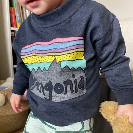 Navy Fitz Roy Skies Jumper