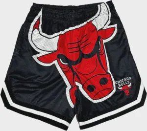 NBA Essentials Mens Shelton Mesh Short - Chicago Bulls