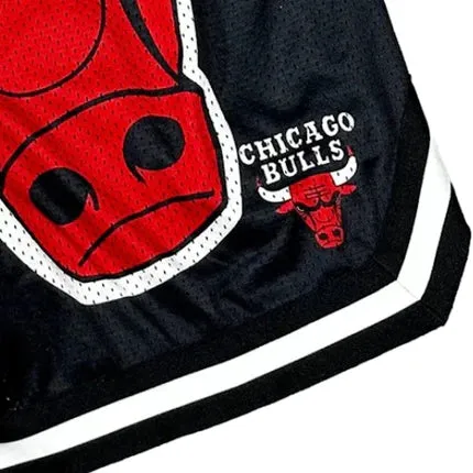 NBA Essentials Mens Shelton Mesh Short - Chicago Bulls