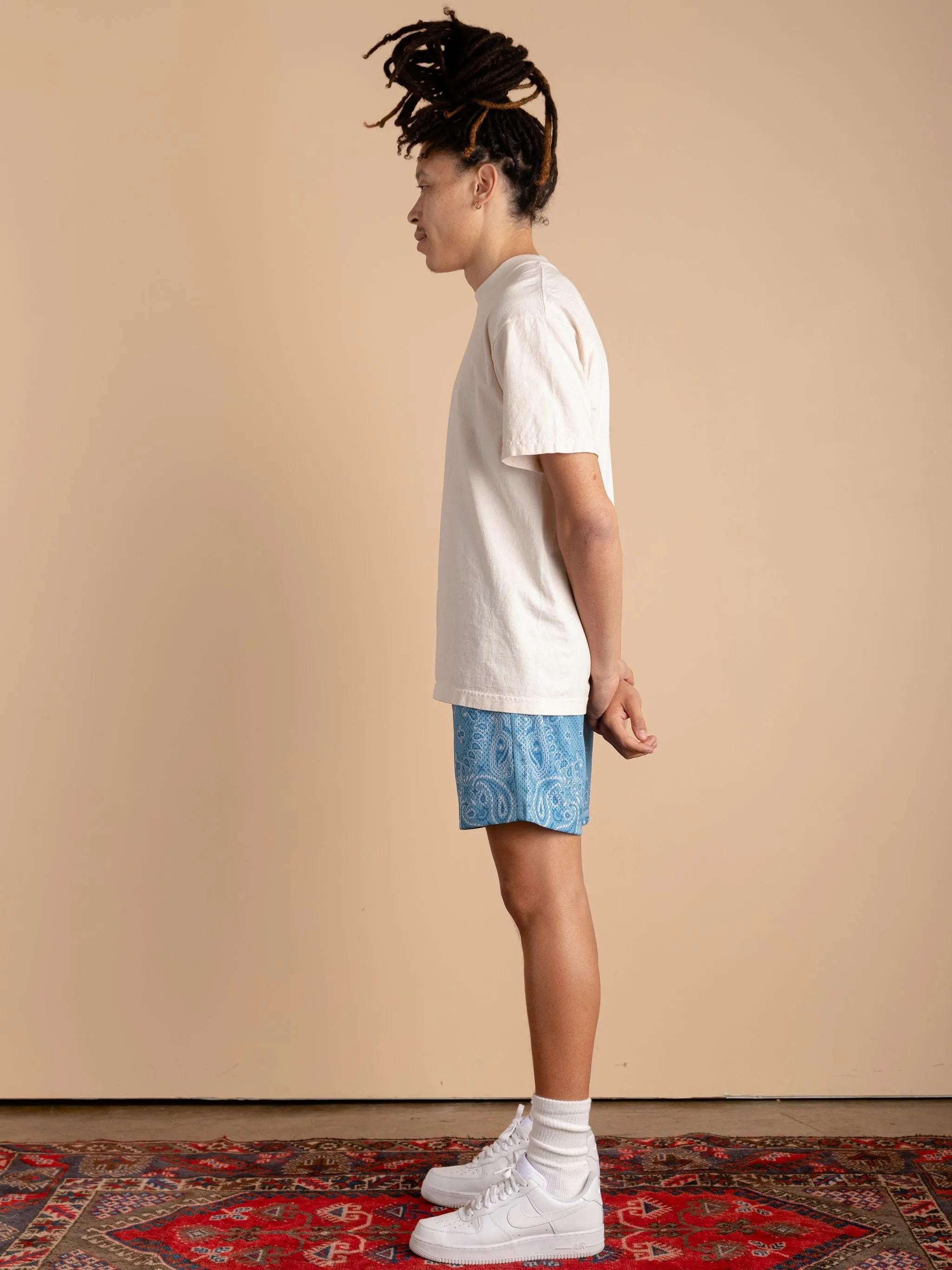 Paisley Mesh Shorts-Sky