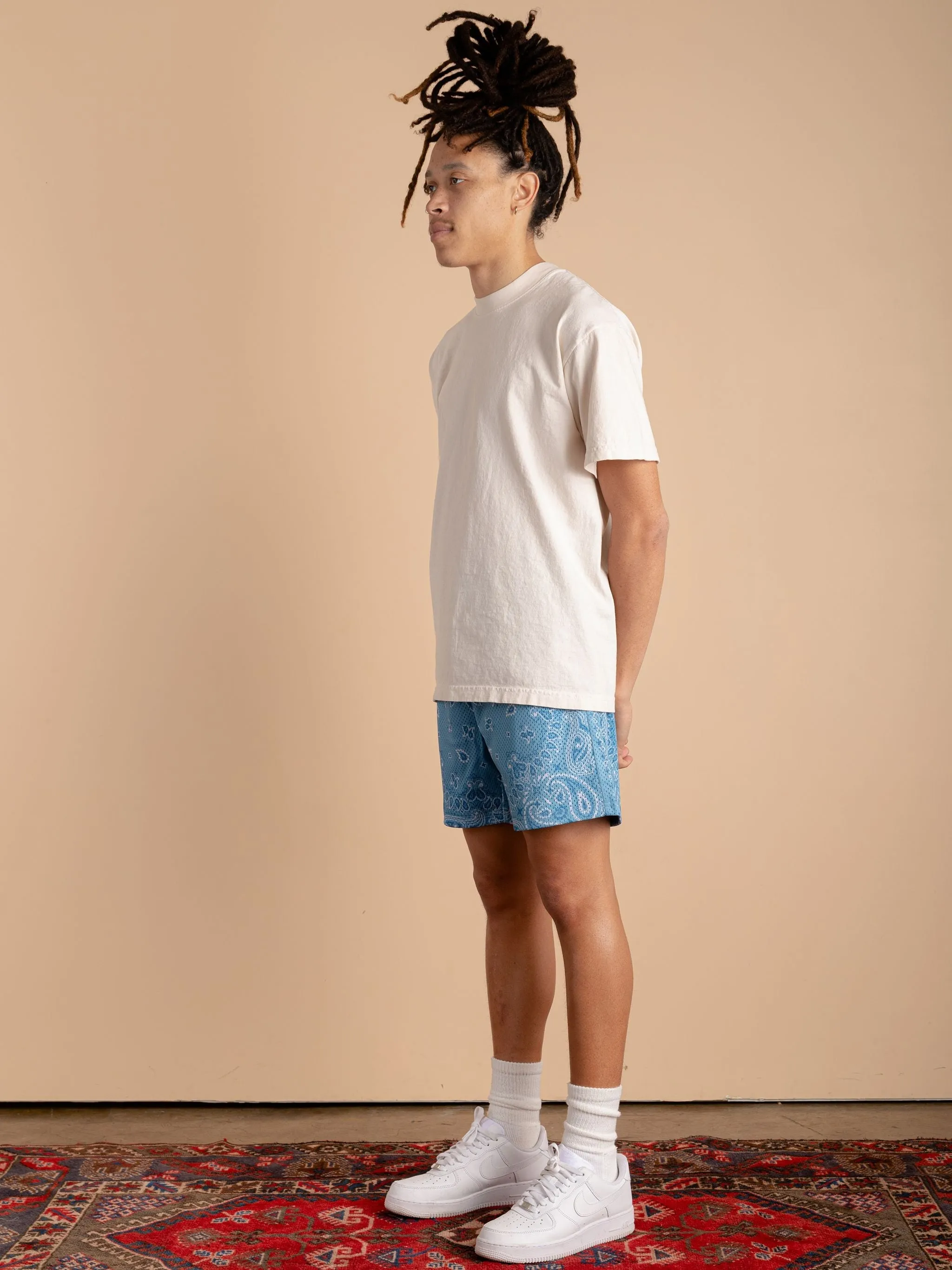 Paisley Mesh Shorts-Sky