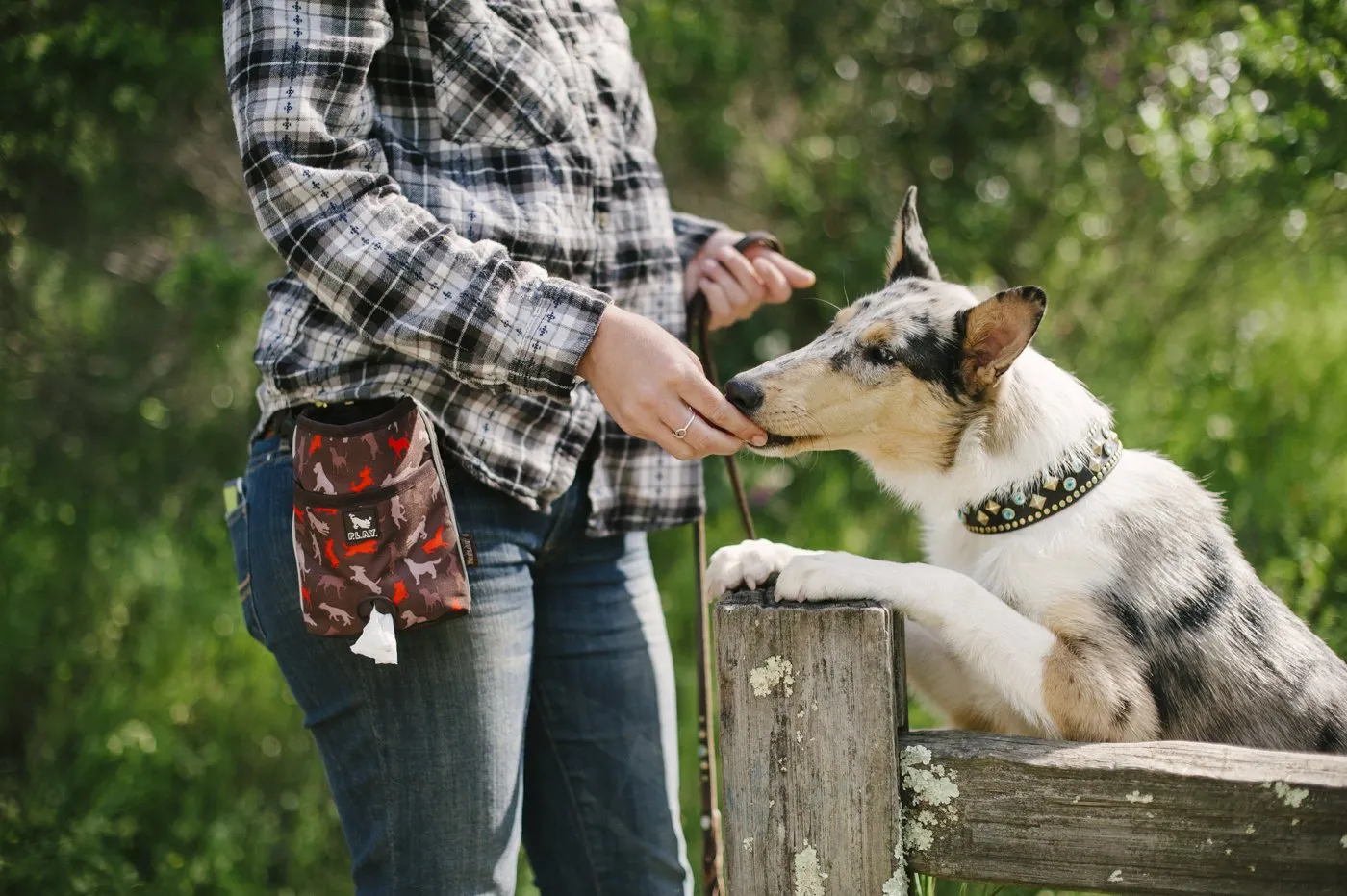 P.L.A.Y Deluxe Training Treat Pouch