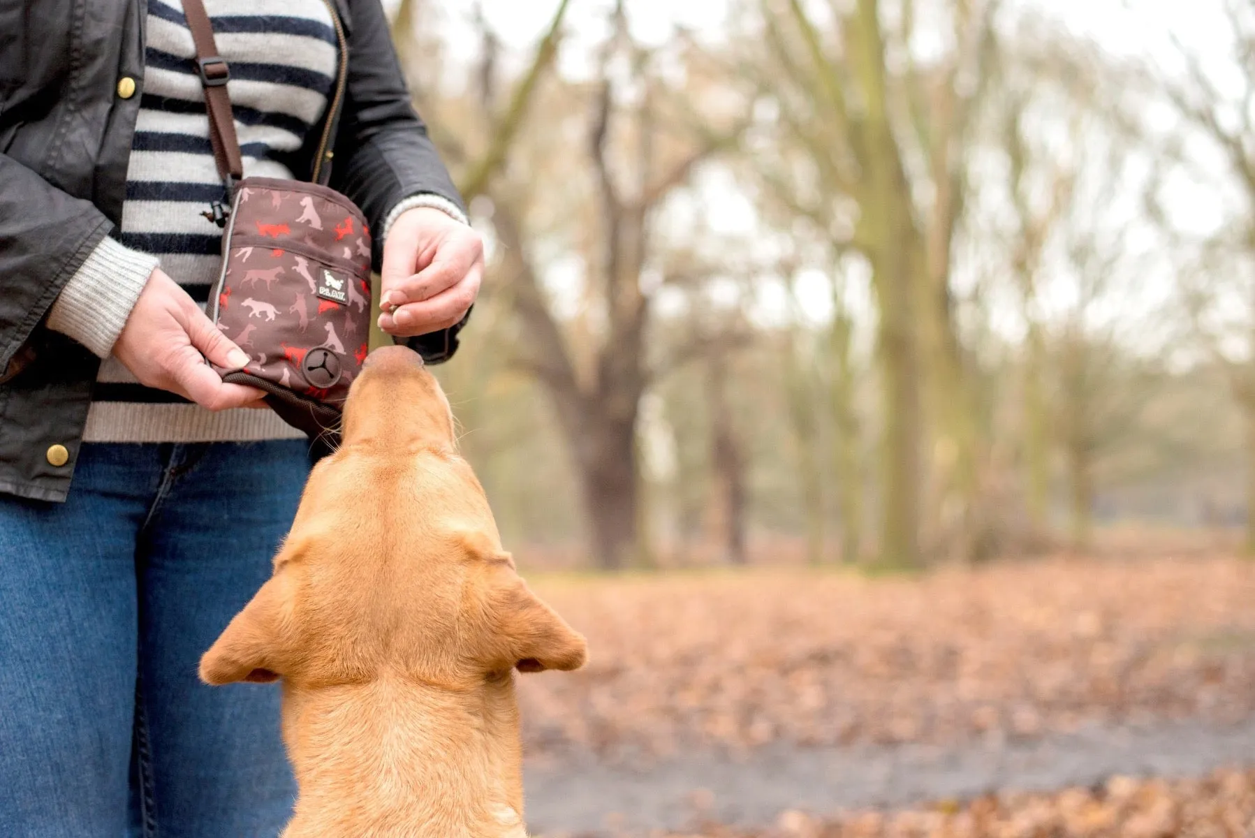 P.L.A.Y Deluxe Training Treat Pouch