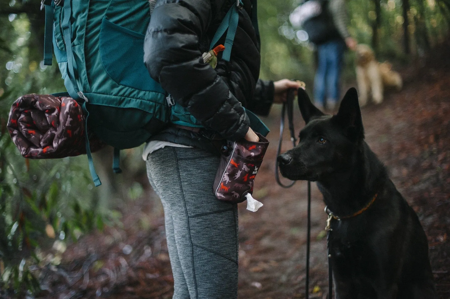 P.L.A.Y Deluxe Training Treat Pouch