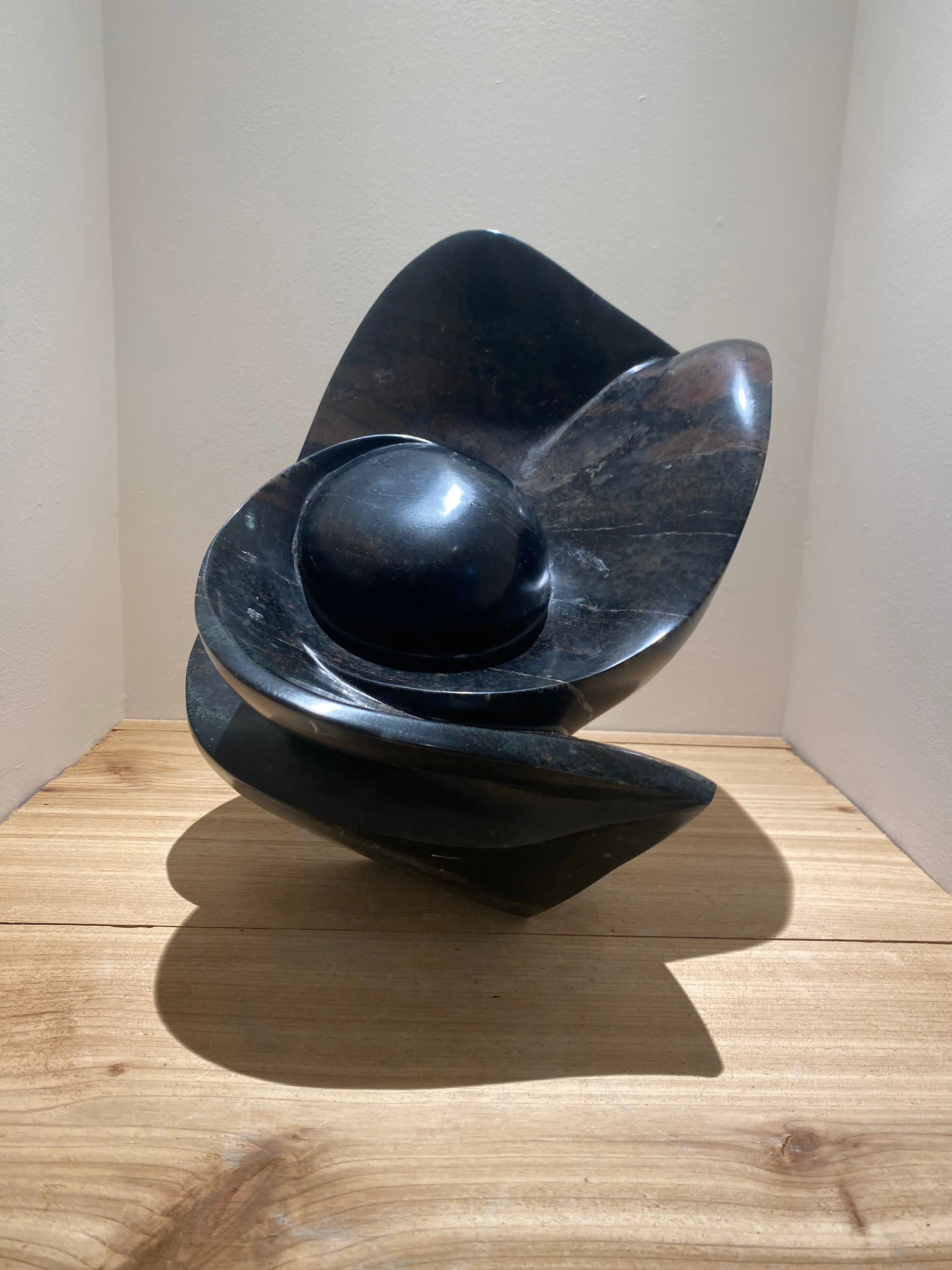 Protected Forever by Donald Chapenga