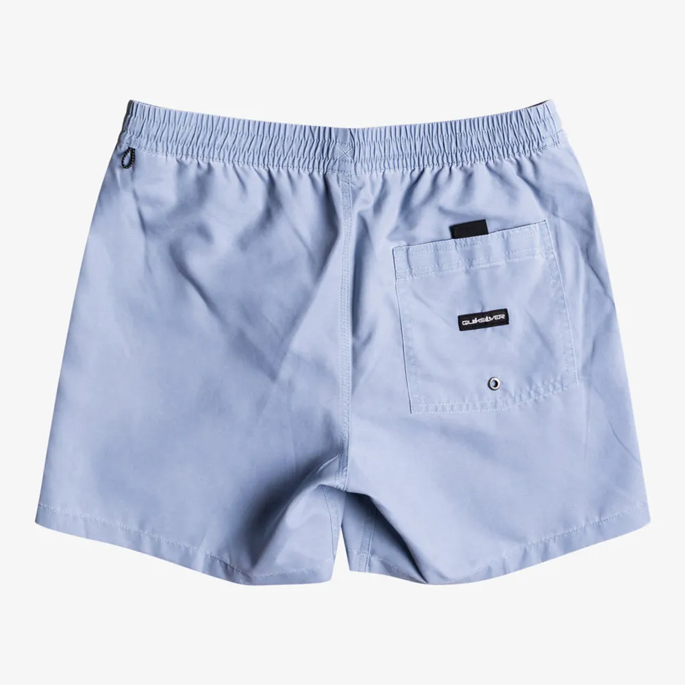 Quiksilver Surfwash 15 Boardshorts