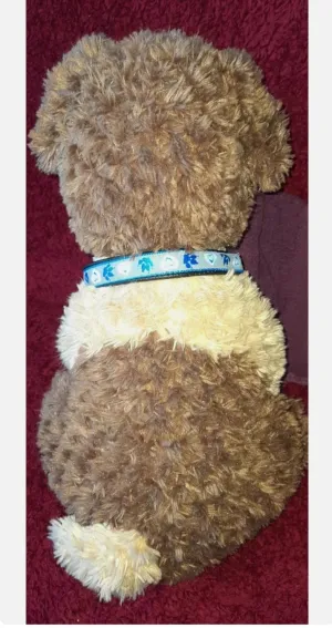 Reflective paw/heart dog collar pet accessories