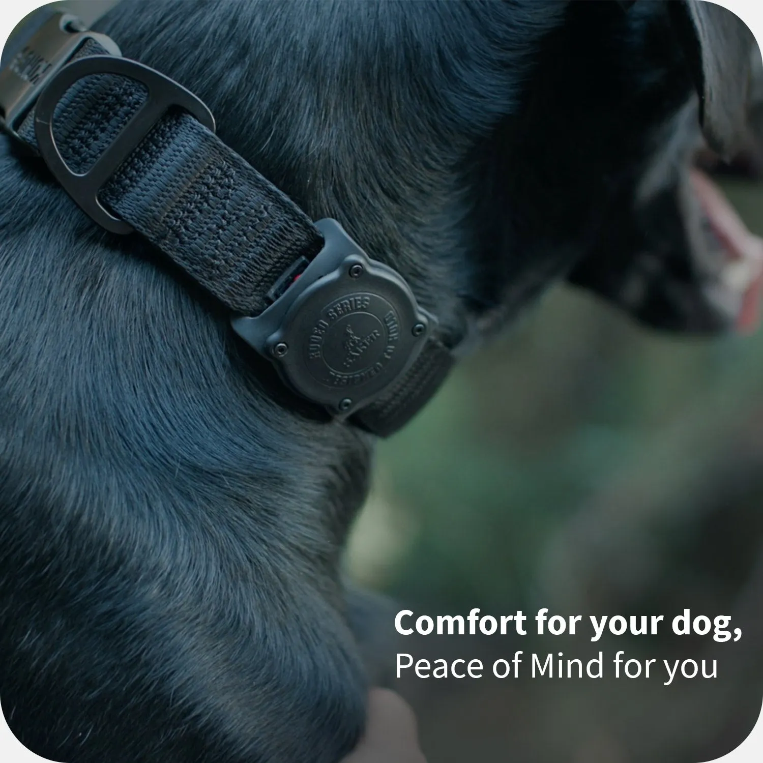 Rodeo™ AirTag Holder