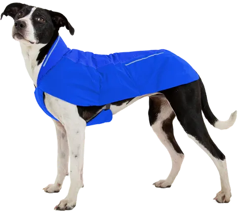 Ruffwear Vert™ Dog Jacket